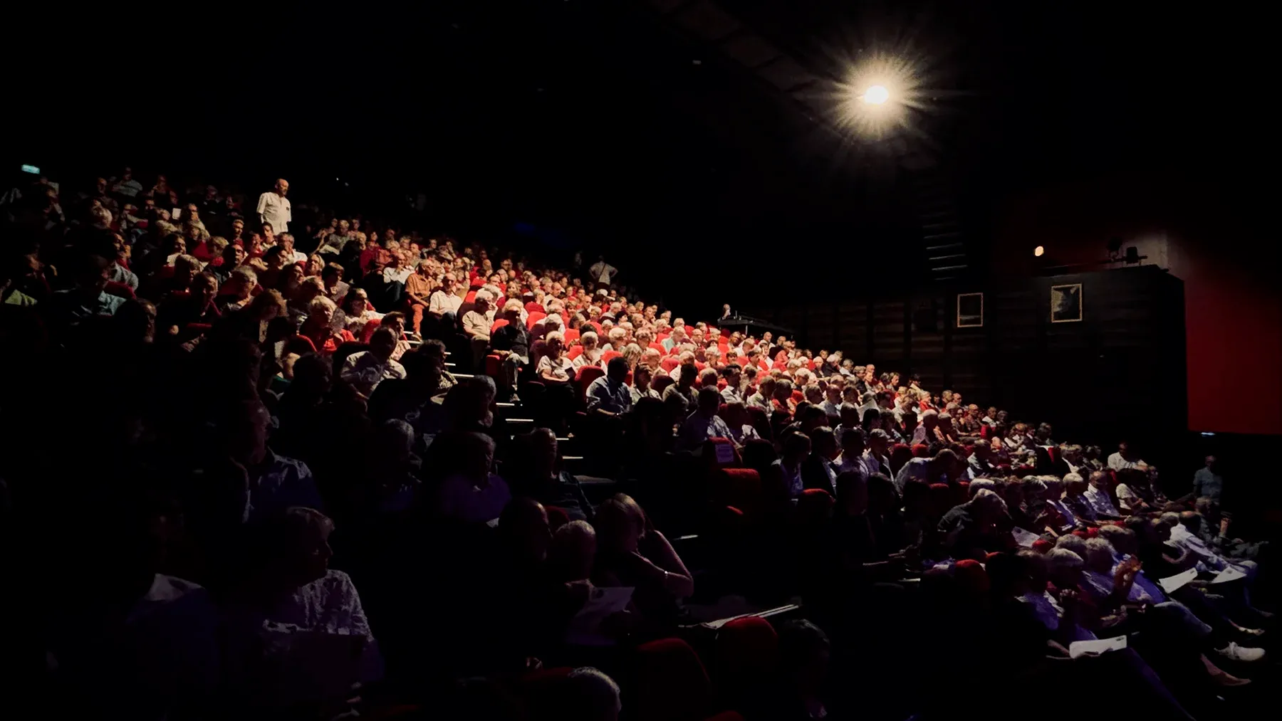 Le Festival 2025 : une édition au bilan très positif !